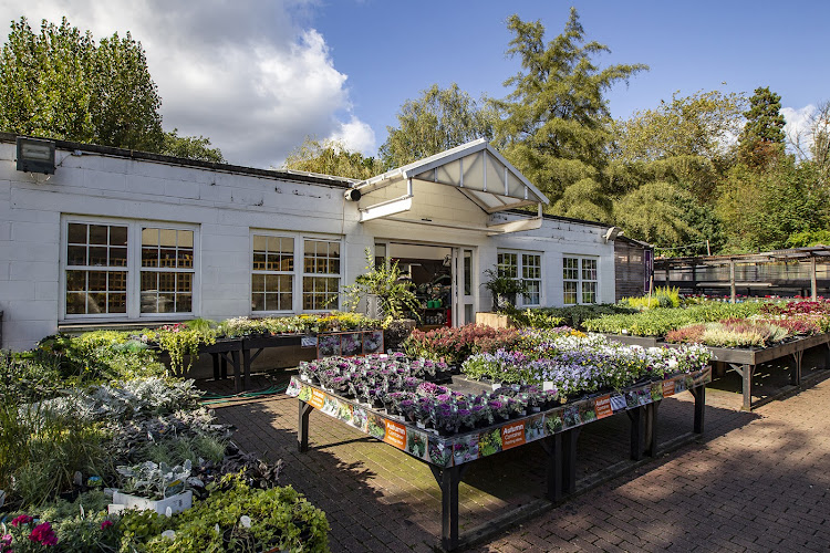 Alexandra Palace Garden Centre & Café — London
