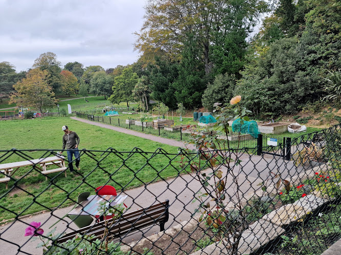 Alexandra Park Café — Poole