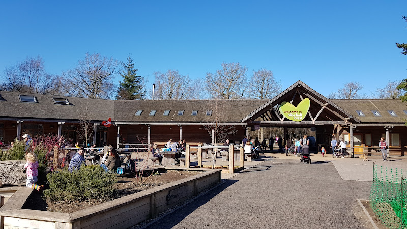 Alice Holt Forest Cafe — Farnham