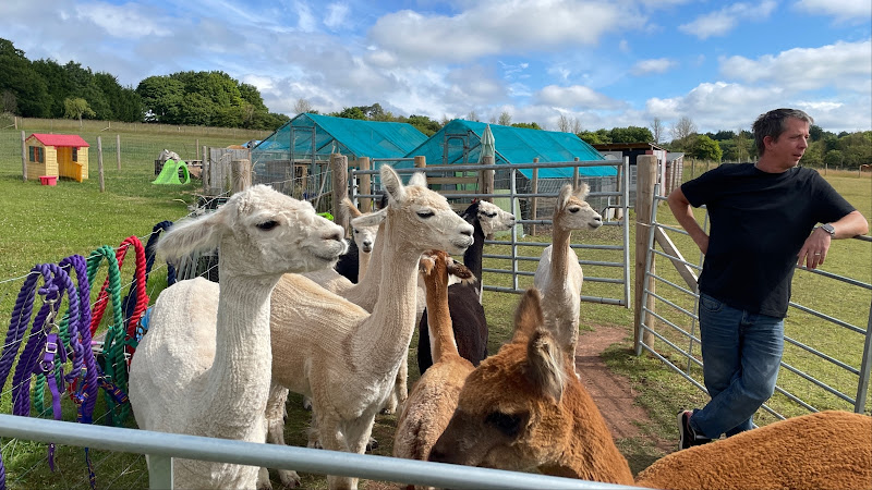 Alpacafé — Bromsgrove