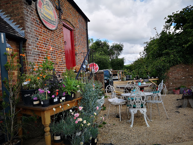 Aunt Fanny's Café