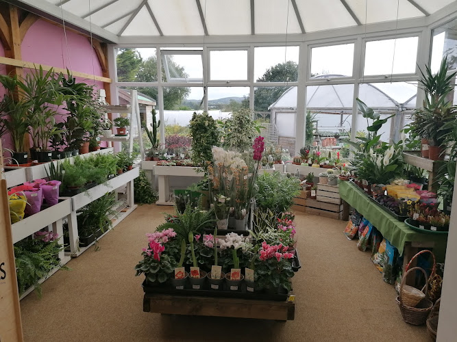 Banwell Garden Centre