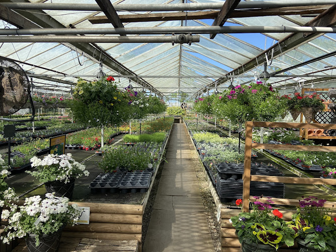 Barby Nurseries