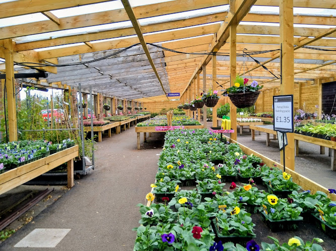 Baskets and Blooms Plant Centre and Blooms Cafe