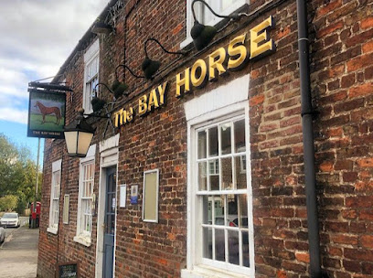 Bay Horse