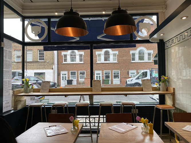 Bear + Wolf Cafe — Holloway