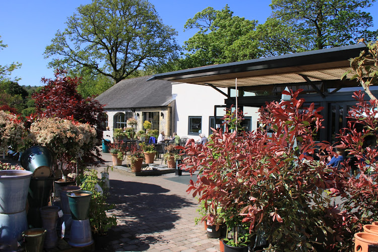 Beetham Nurseries — Milnthorpe