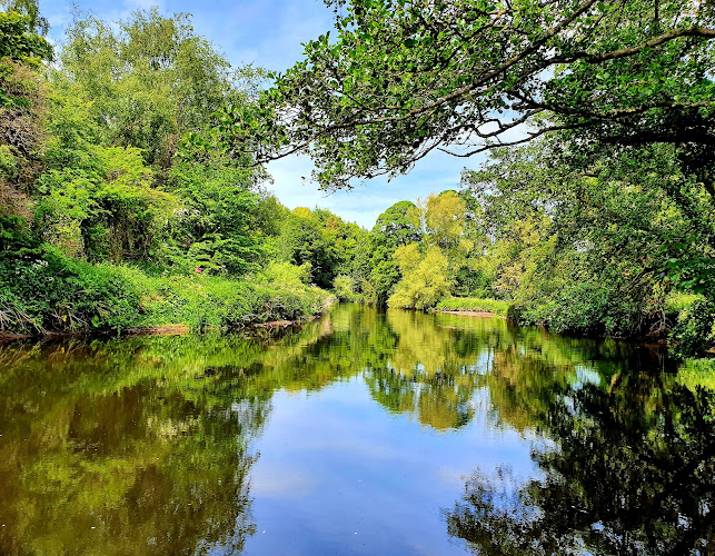 Belvoir Park Forest