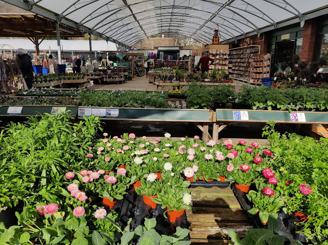 Bernaville Nurseries — Exeter