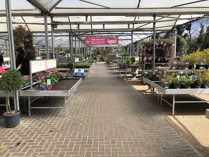 Birchen Grove Garden Centre — London