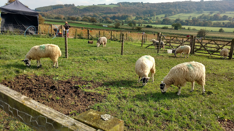 Birchfield Family Dairies