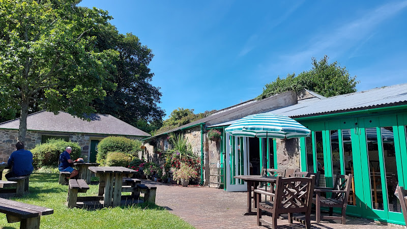 black cat cafe — Caernarfon