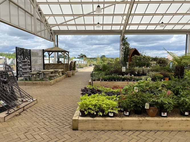 Blue Diamond Garden and Home