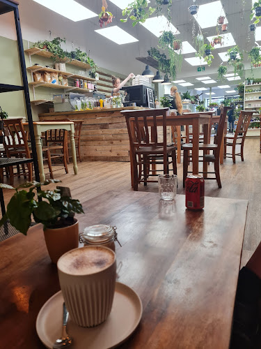 Botanical Babe Plants & Coffee