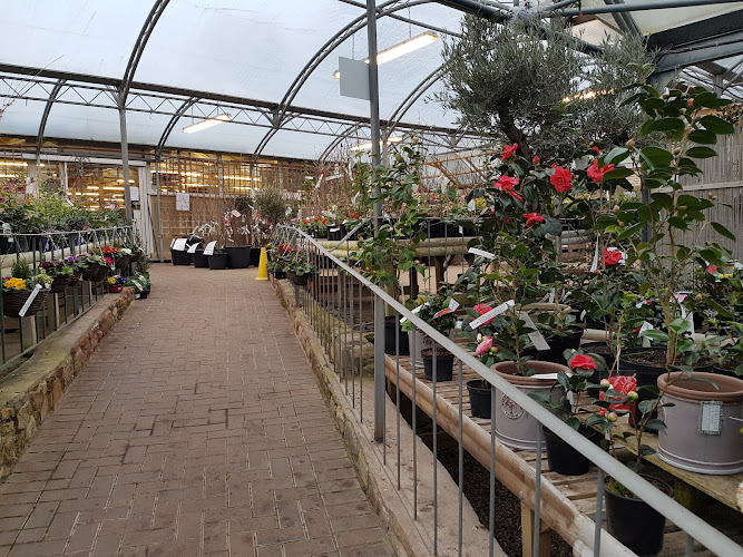 Brackenwood Plant & Garden Centre