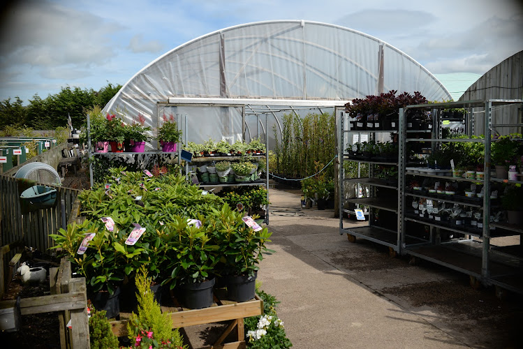 Bridgend Garden Centre — Cupar