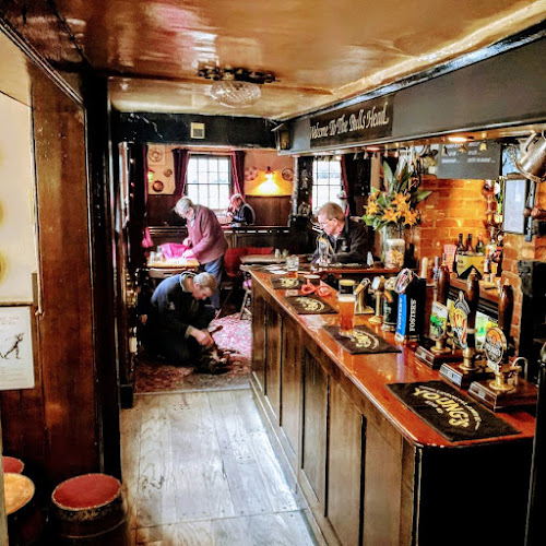 Bulls Head