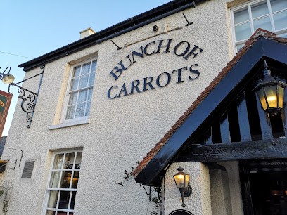Bunch of Carrots