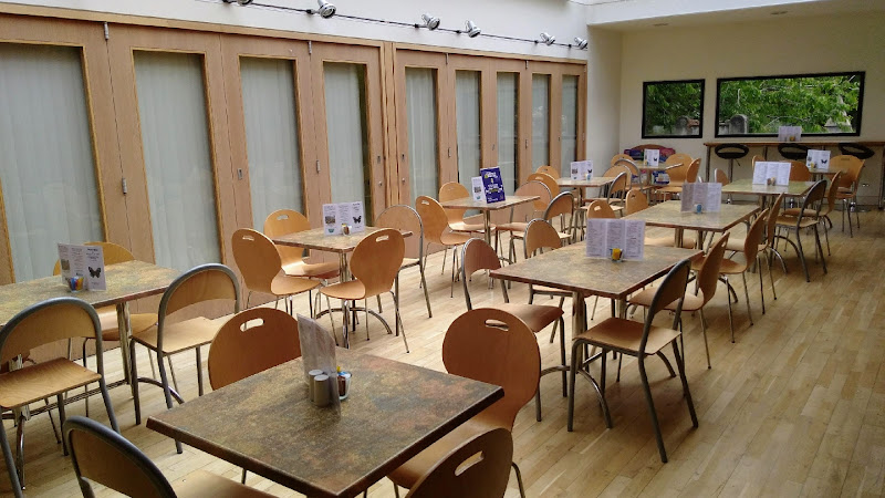 Butterflies Cafe — Edinburgh