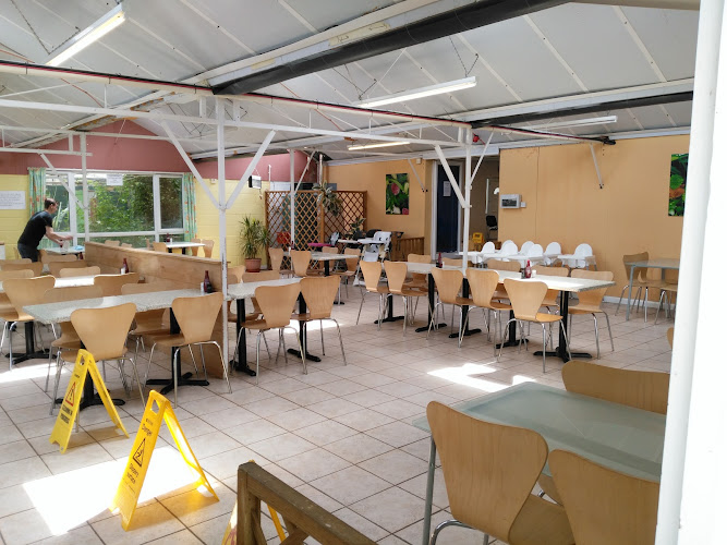 Butterfly Cafe