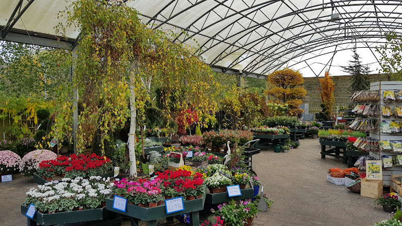 Cameron Landscapes & Garden Centre — Belfast