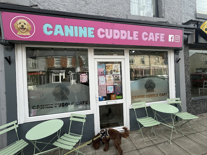 Canine Cuddle Cafe — Durham