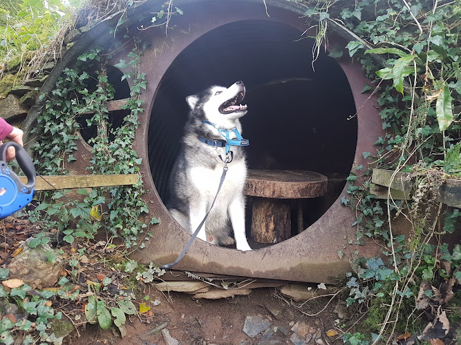 Carnglaze Caverns — Liskeard
