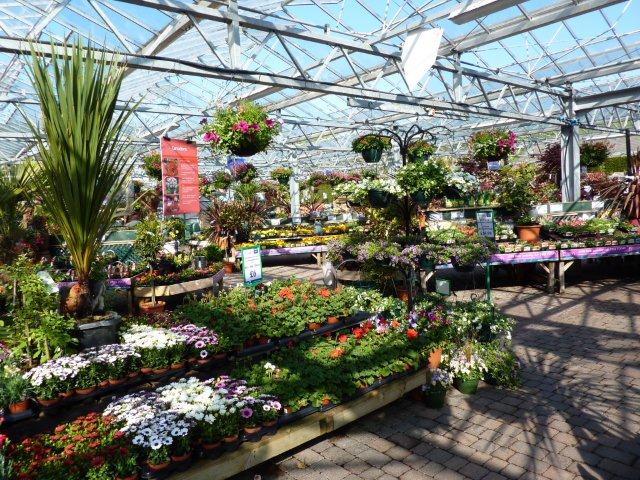 Caulders Garden Centre Hetland — Dumfries