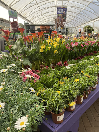 Caulders Garden Centre Kirkintilloch
