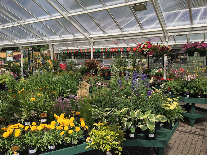 Caulders Garden Centre Mugdock