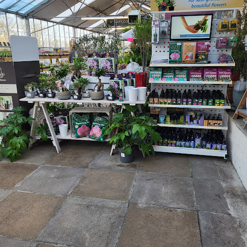 Chacewater Garden Centre — Truro