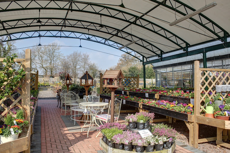 Chard Plant & Garden Centre