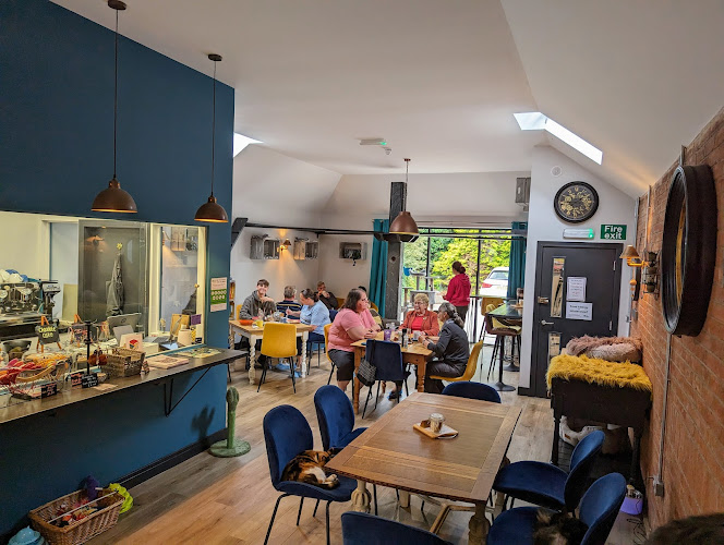 Charlies Cat Cafe