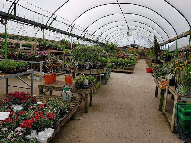 Charnley's Home and Garden — Dalton-in-Furness