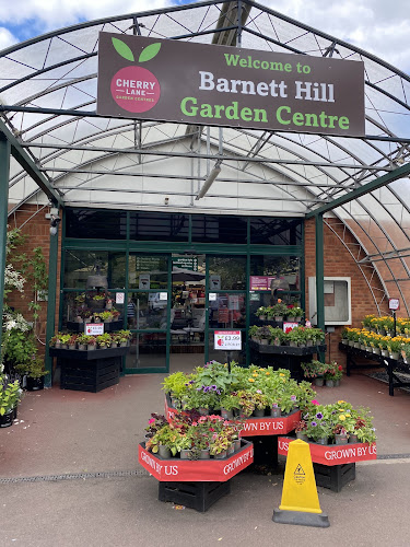 CHERRY LANE- Barnett Hill