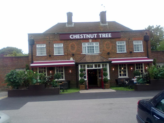 Chestnut Tree
