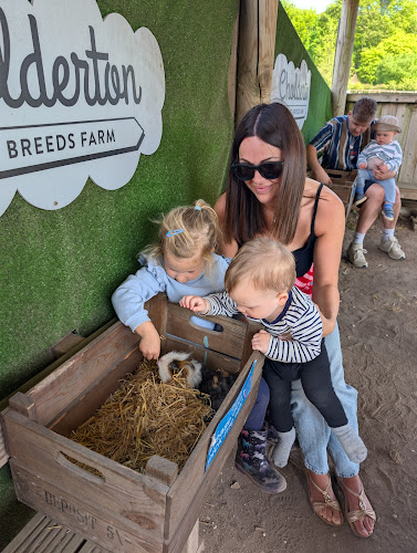 Cholderton Rare Breeds Farm