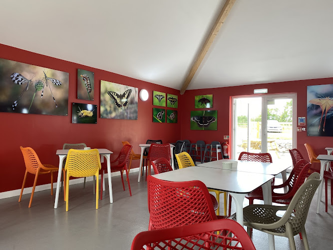 Chrysalis Café — Norwich