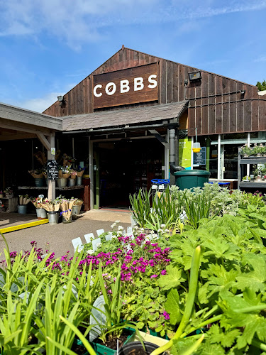 Cobbs at Winchester — Winchester