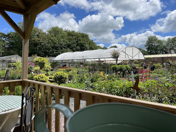 Coffee & Cake — Stafford