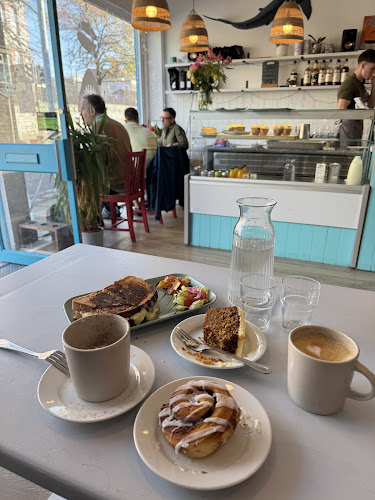 Coffee Shark — Plymouth