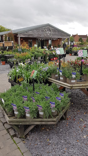 Collyer's Nurseries — Derby