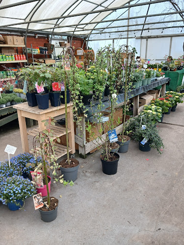 Congburn Nurseries — Durham