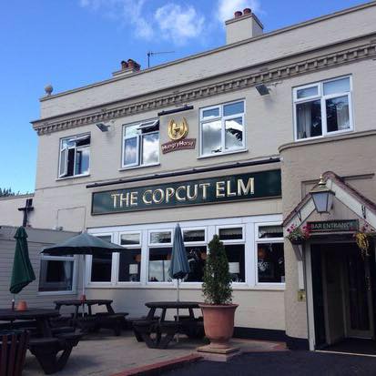 Copcut Elm