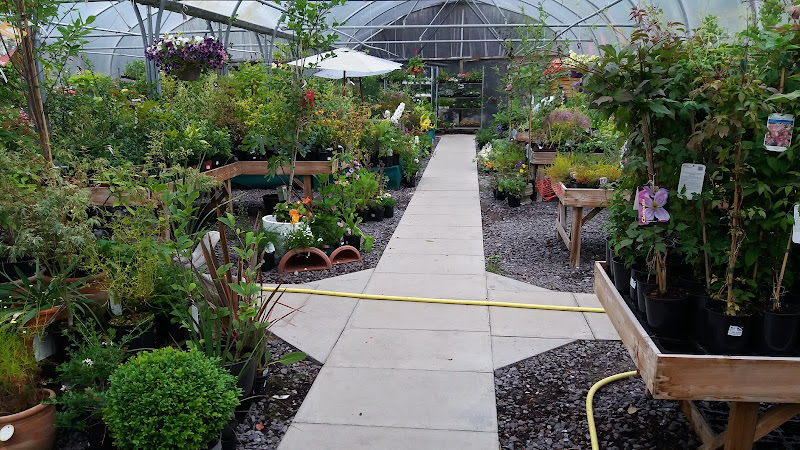 Corachie Clematis Garden Centre — Taynuilt