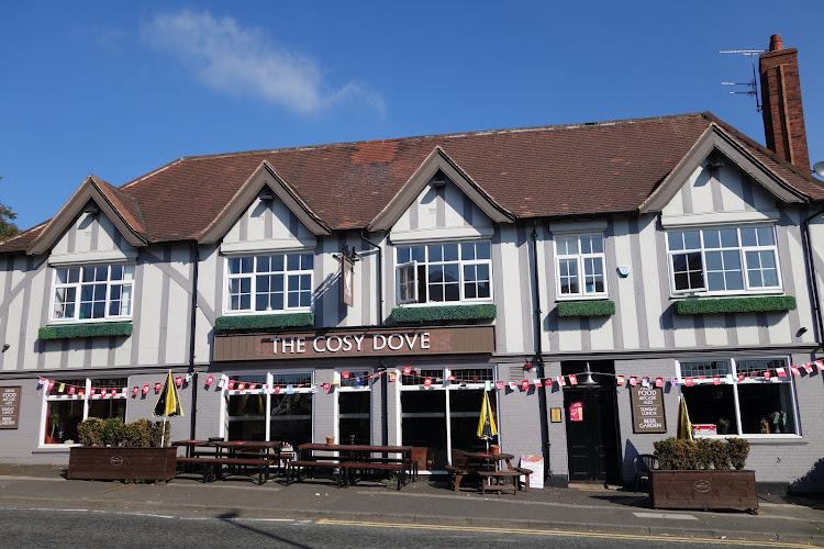 Cosy Dove — Newcastle upon Tyne