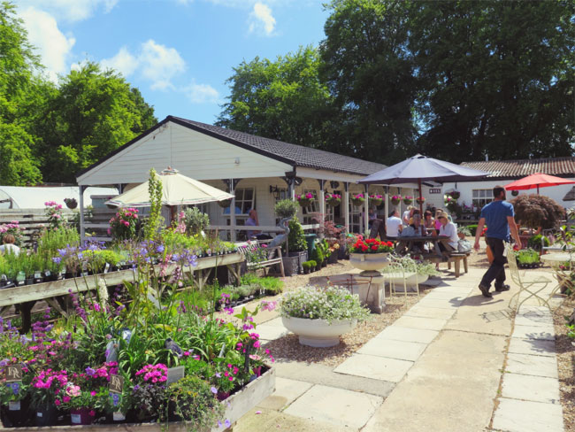 Cranborne Garden Centre — Wimborne