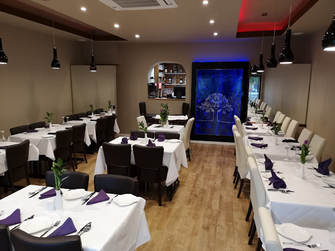 Curry Chef — Reading