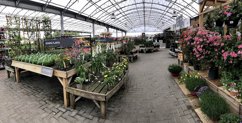 Dobbies Garden Centre Carlisle