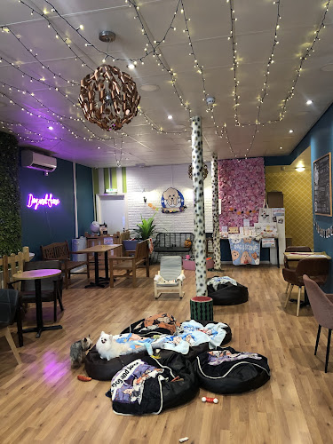 Dog & Scone — Newcastle upon Tyne